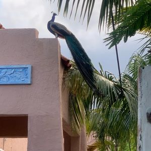 Meet your Posher, Sonna